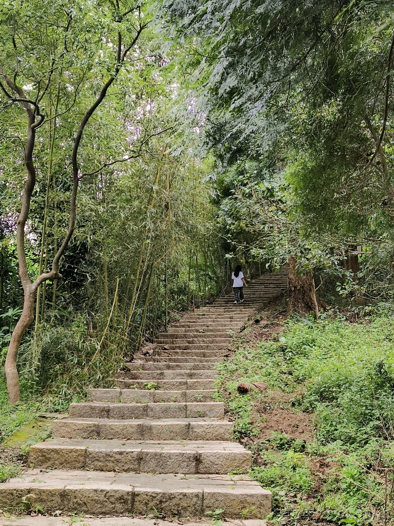 新竹北埔 の 老頭擺客家菜 & 大分林山 & 北埔冷泉