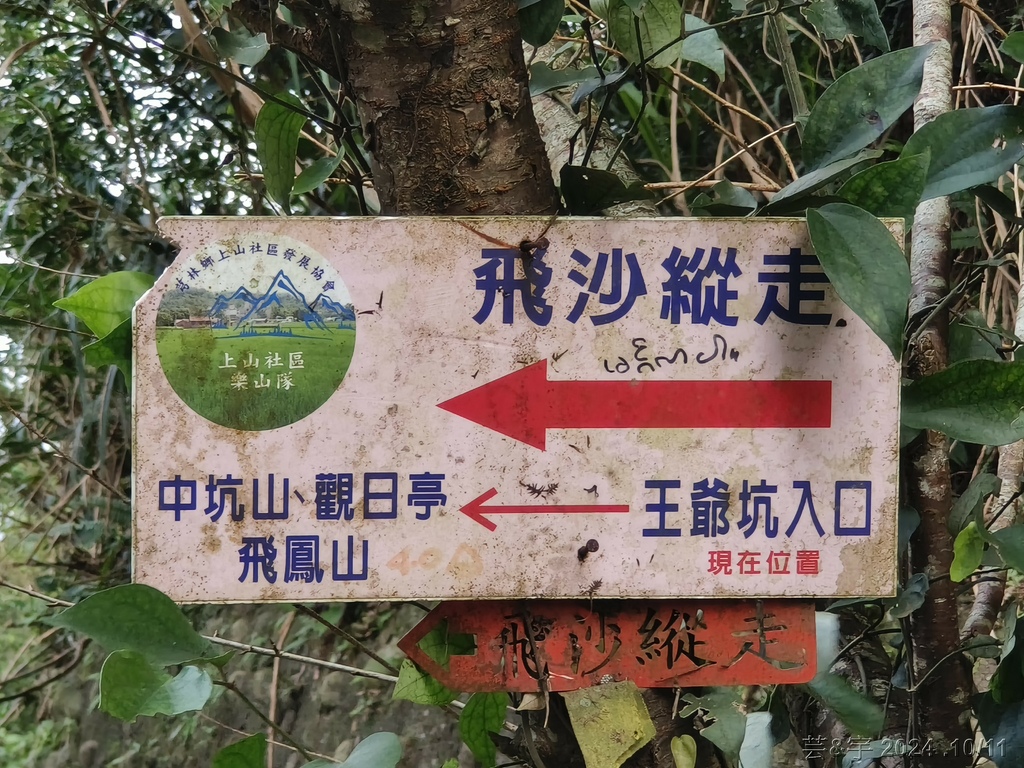 新竹芎林 の 王爺坑 & 飛沙縱走的3個山頭 (芎蕉窩山+牛