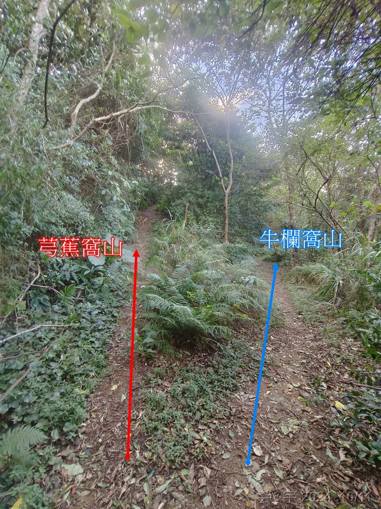 新竹芎林 の 王爺坑 & 飛沙縱走的3個山頭 (芎蕉窩山+牛