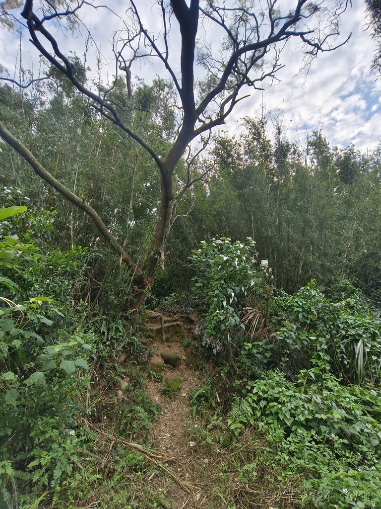 新竹芎林 の 王爺坑 & 飛沙縱走的3個山頭 (芎蕉窩山+牛
