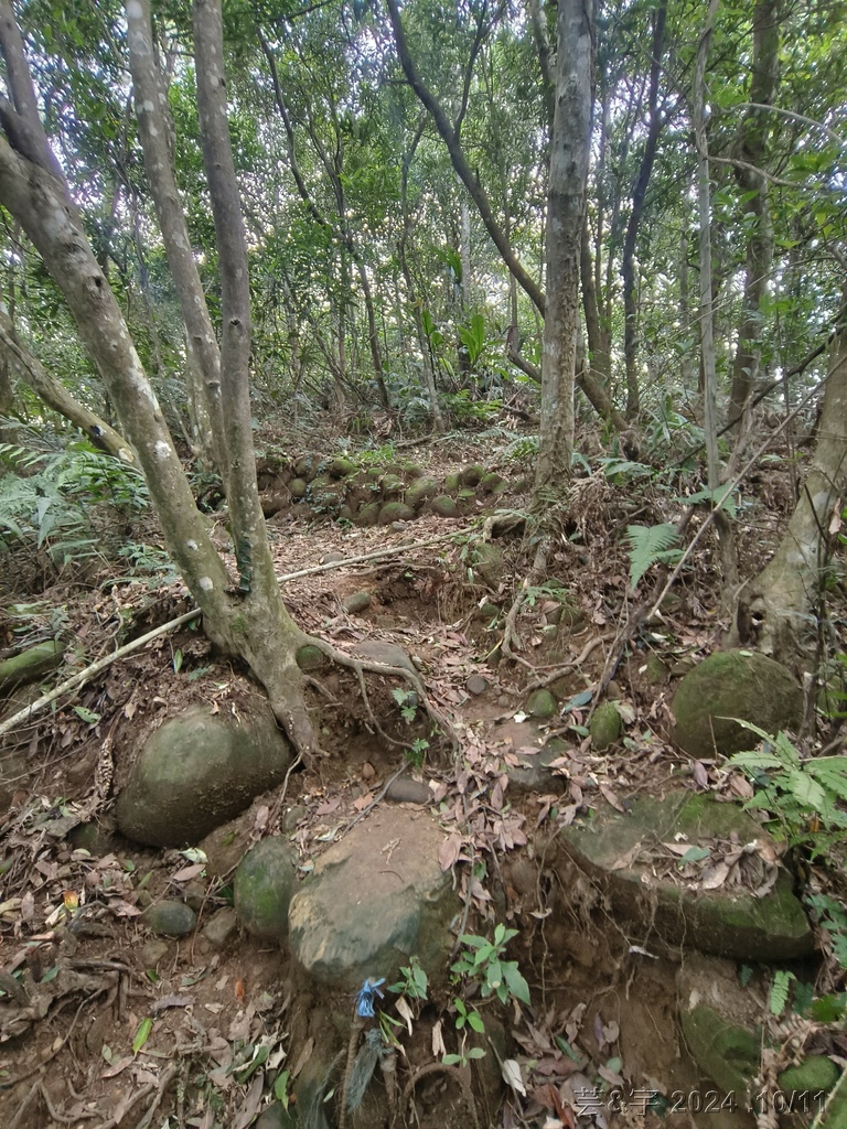 新竹芎林 の 王爺坑 & 飛沙縱走的3個山頭 (芎蕉窩山+牛