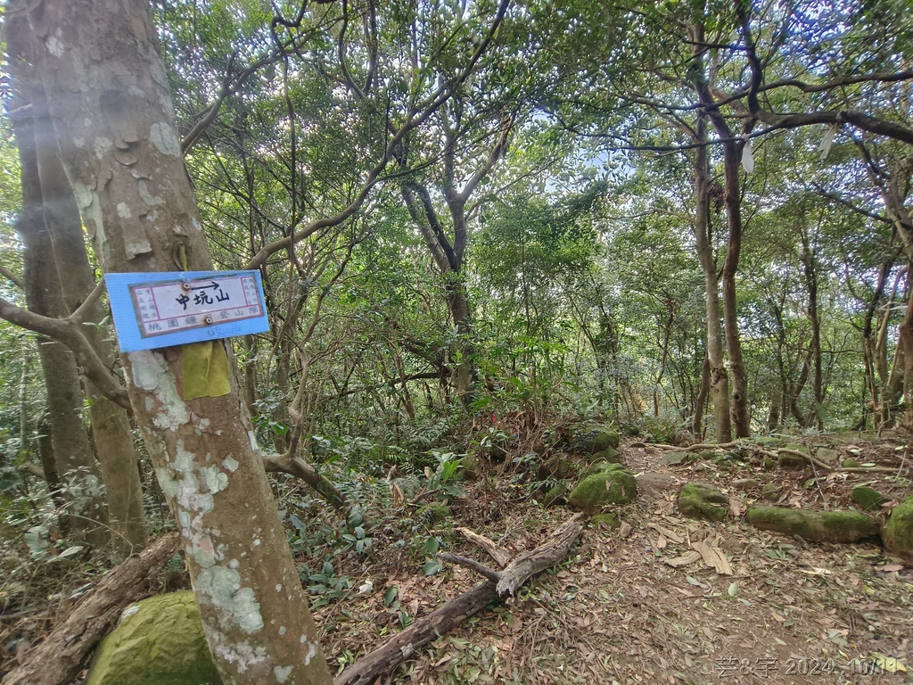 新竹芎林 の 王爺坑 & 飛沙縱走的3個山頭 (芎蕉窩山+牛