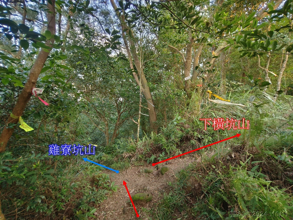新竹芎林 の 王爺坑 & 飛沙縱走的3個山頭 (芎蕉窩山+牛