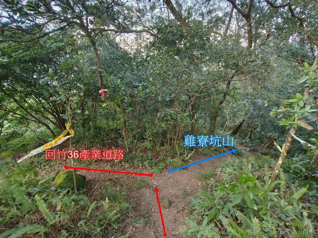 新竹芎林 の 王爺坑 & 飛沙縱走的3個山頭 (芎蕉窩山+牛