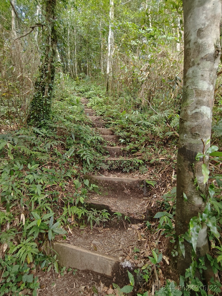 新竹尖石 の 宇老景觀台 & 魯壁山 & 李棟山莊