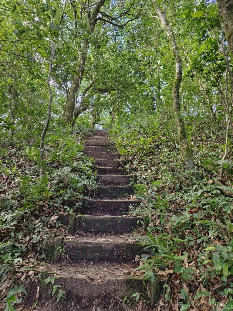 新竹尖石 の 宇老景觀台 & 魯壁山 & 李棟山莊