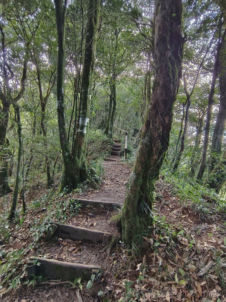 新竹尖石 の 宇老景觀台 & 魯壁山 & 李棟山莊