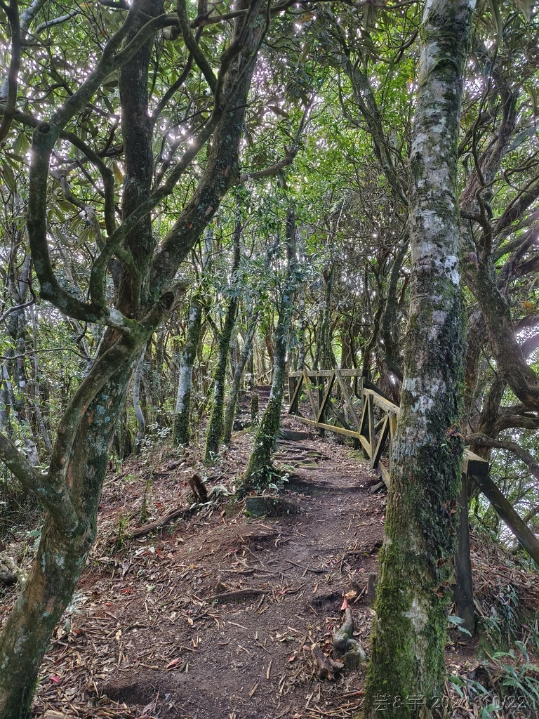 新竹尖石 の 宇老景觀台 & 魯壁山 & 李棟山莊