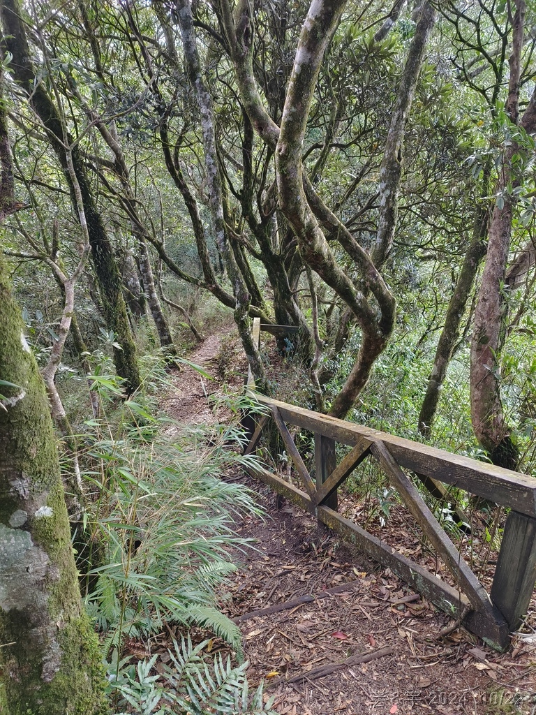 新竹尖石 の 宇老景觀台 & 魯壁山 & 李棟山莊