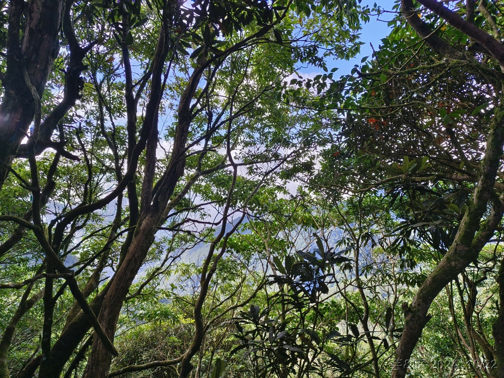 新竹尖石 の 宇老景觀台 & 魯壁山 & 李棟山莊