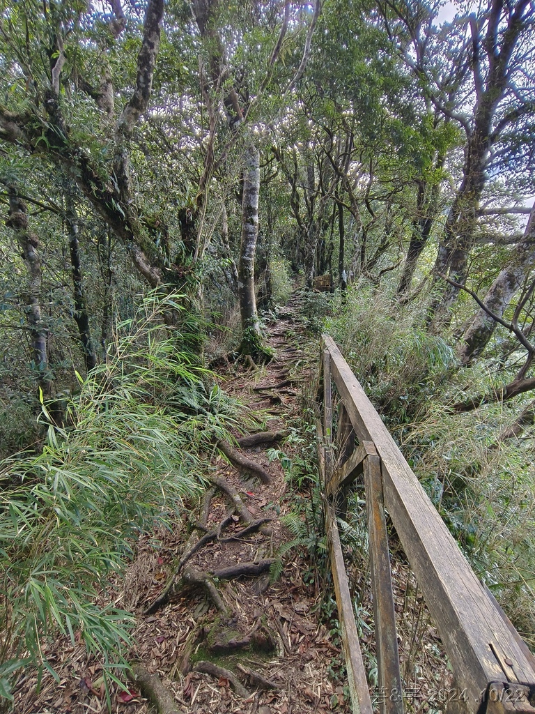 新竹尖石 の 宇老景觀台 & 魯壁山 & 李棟山莊