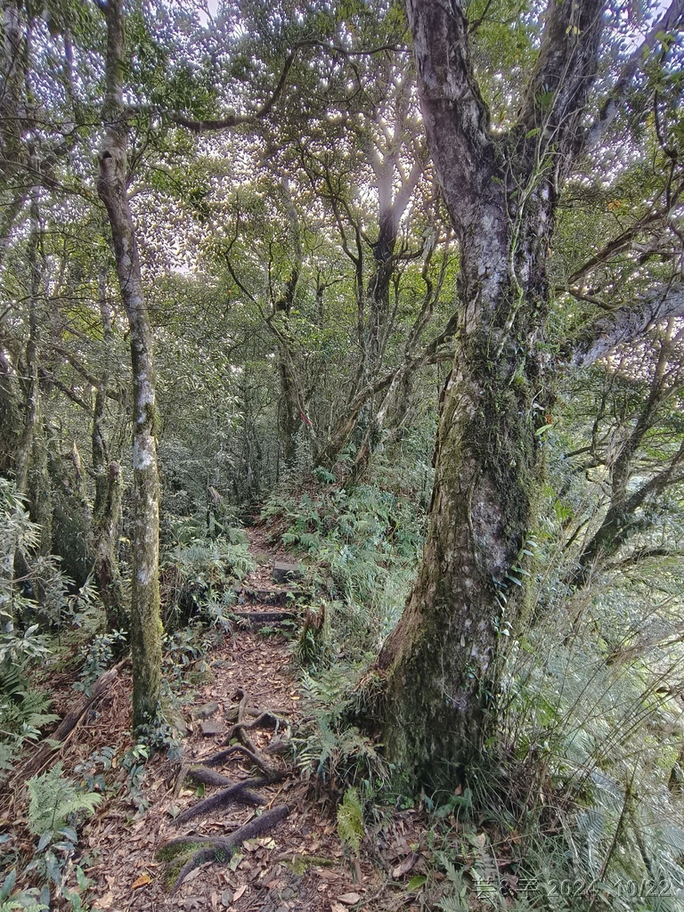 新竹尖石 の 宇老景觀台 & 魯壁山 & 李棟山莊
