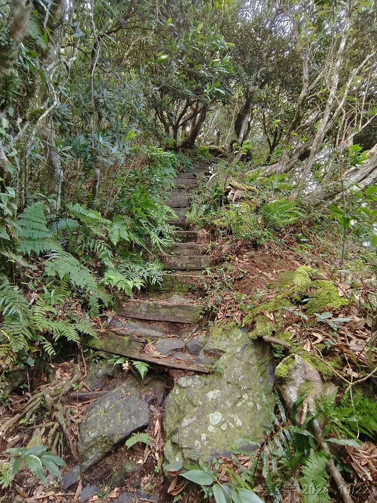 新竹尖石 の 宇老景觀台 & 魯壁山 & 李棟山莊