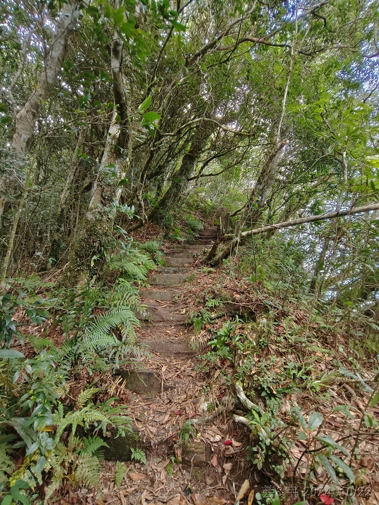 新竹尖石 の 宇老景觀台 & 魯壁山 & 李棟山莊