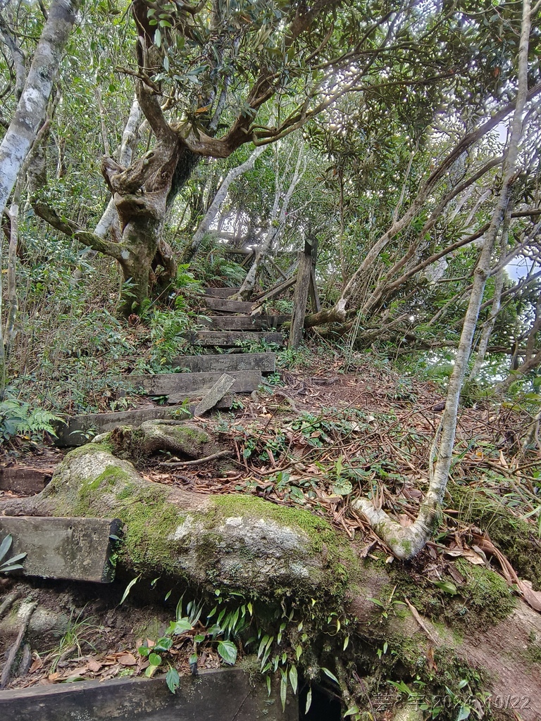 新竹尖石 の 宇老景觀台 & 魯壁山 & 李棟山莊