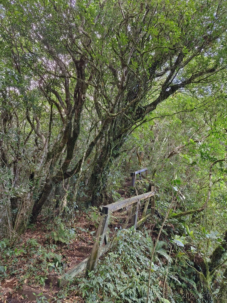 新竹尖石 の 宇老景觀台 & 魯壁山 & 李棟山莊