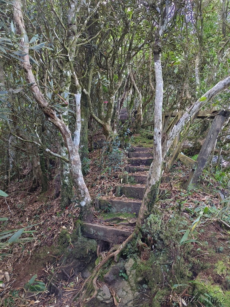 新竹尖石 の 宇老景觀台 & 魯壁山 & 李棟山莊