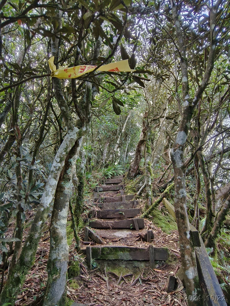 新竹尖石 の 宇老景觀台 & 魯壁山 & 李棟山莊