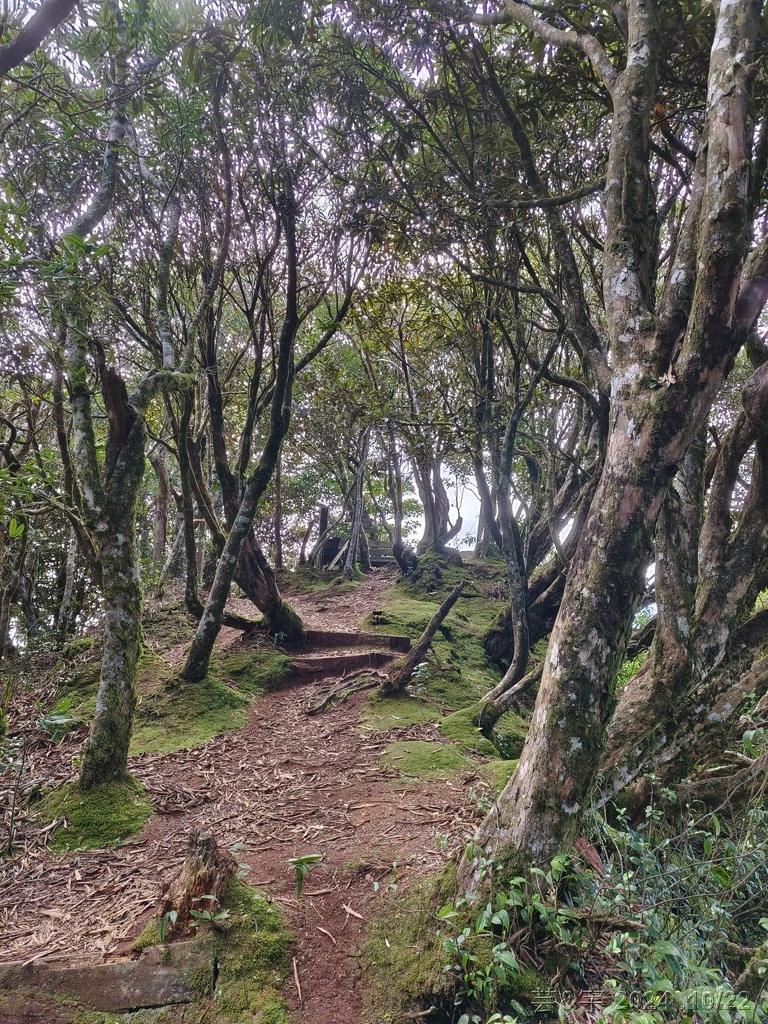 新竹尖石 の 宇老景觀台 & 魯壁山 & 李棟山莊