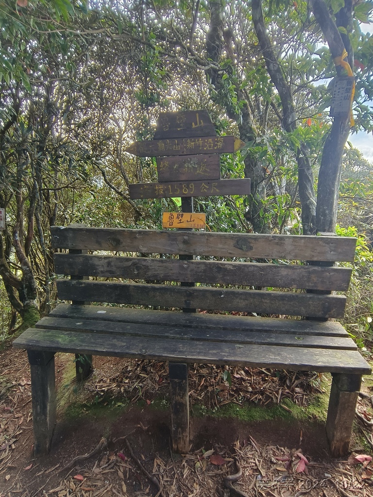 新竹尖石 の 宇老景觀台 & 魯壁山 & 李棟山莊