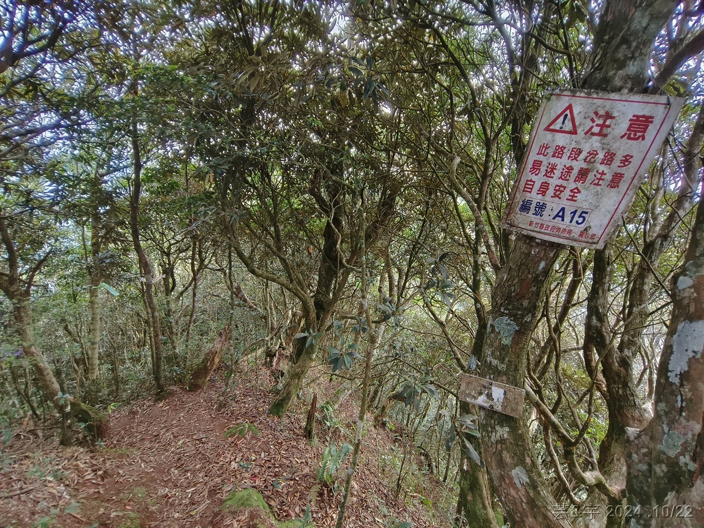 新竹尖石 の 宇老景觀台 & 魯壁山 & 李棟山莊