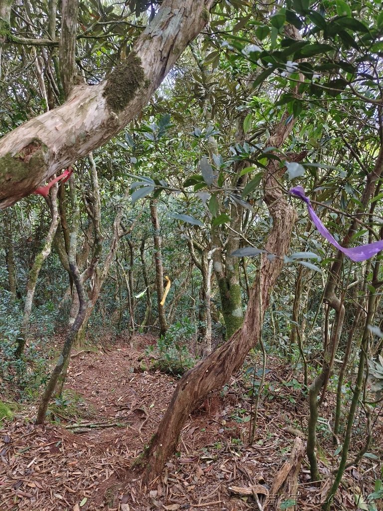 新竹尖石 の 宇老景觀台 & 魯壁山 & 李棟山莊
