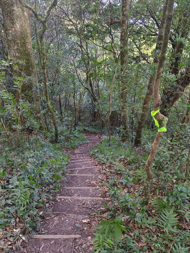 新竹尖石 の 宇老景觀台 & 魯壁山 & 李棟山莊