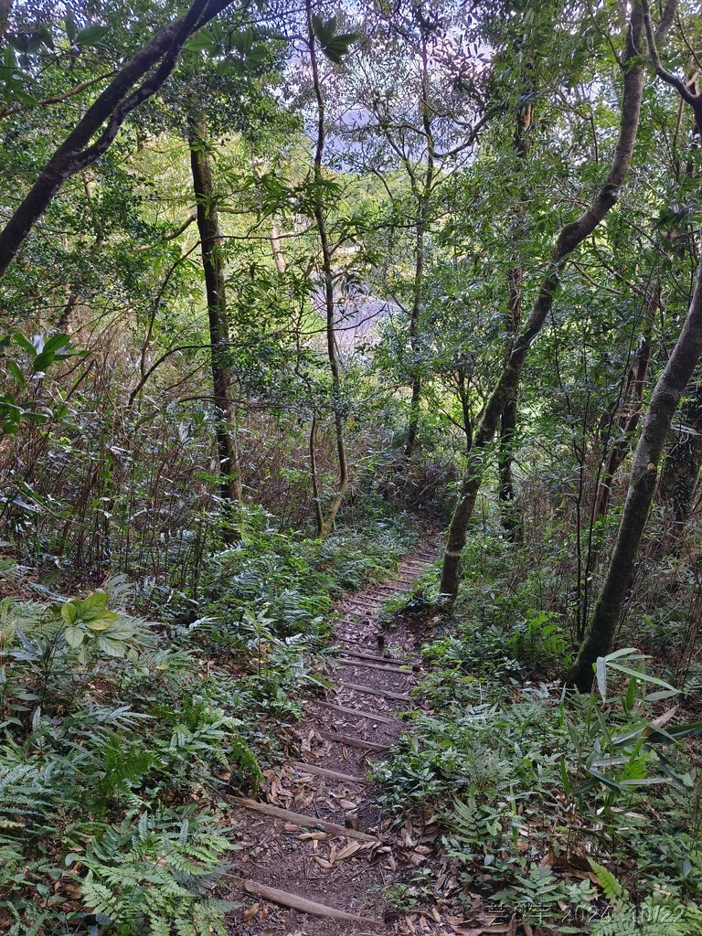 新竹尖石 の 宇老景觀台 & 魯壁山 & 李棟山莊