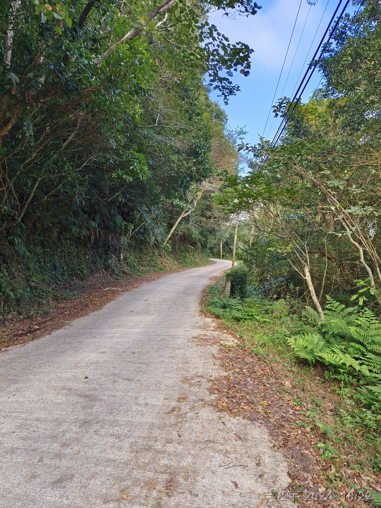 98 馬美道路.jpg