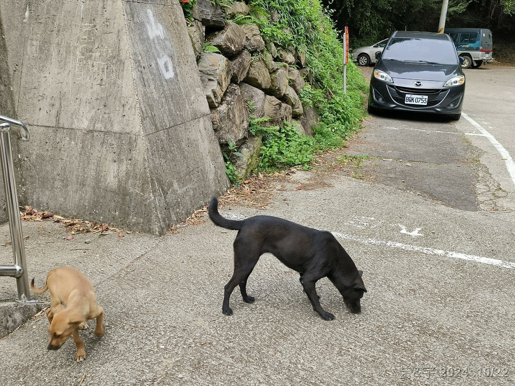 新竹尖石 の 宇老景觀台 & 魯壁山 & 李棟山莊