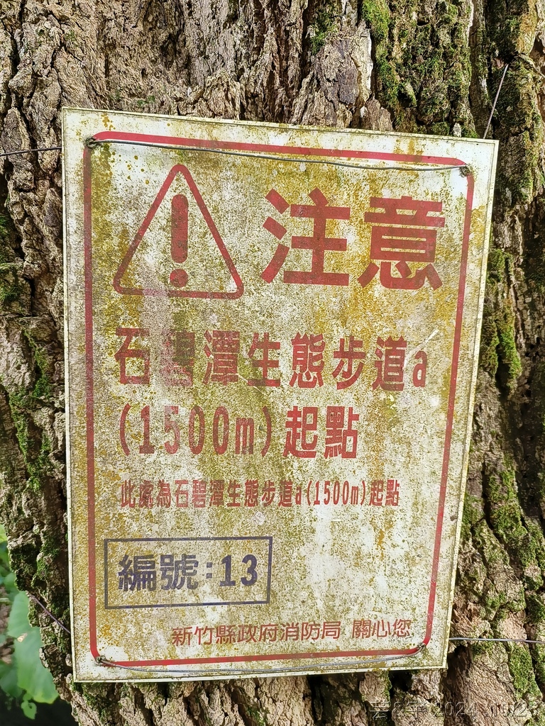 新竹芎林 の 石壁潭生態步道 & 石壁潭山