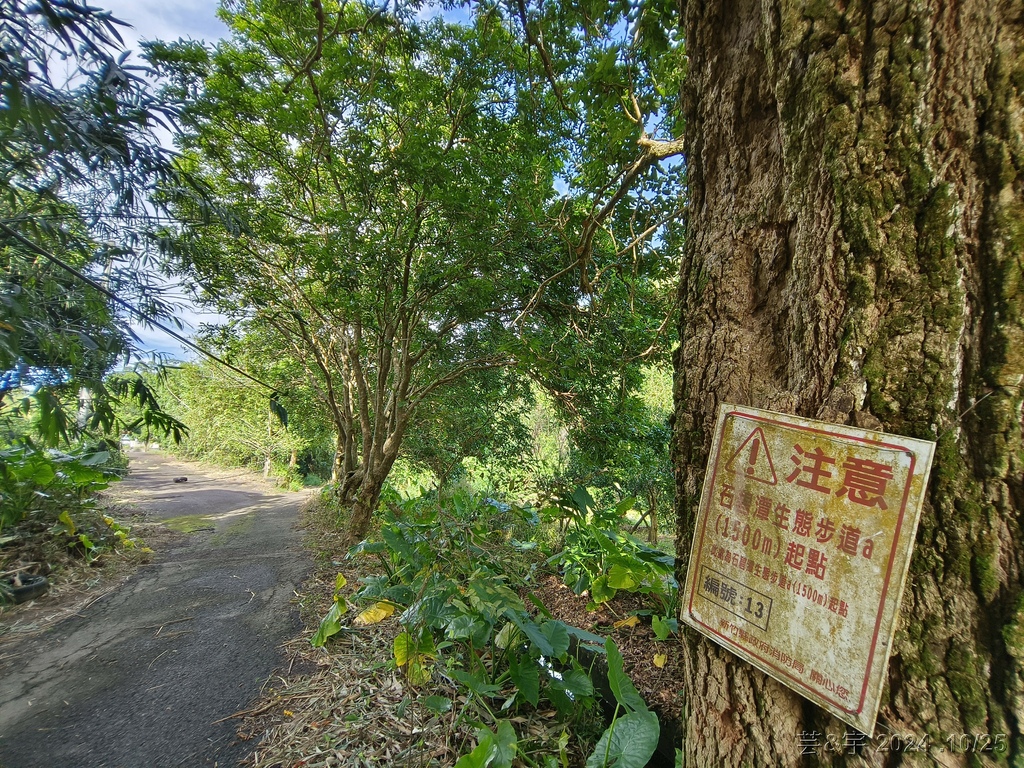 新竹芎林 の 石壁潭生態步道 & 石壁潭山