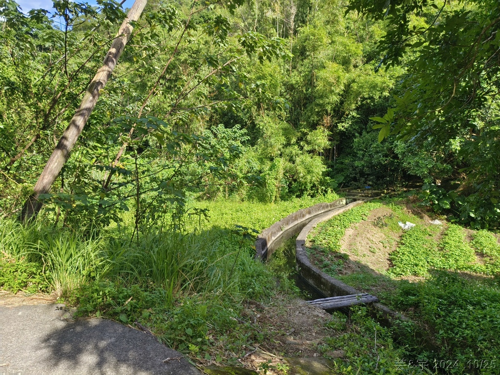新竹芎林 の 石壁潭生態步道 & 石壁潭山