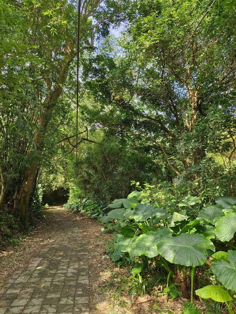 新竹芎林 の 石壁潭生態步道 & 石壁潭山