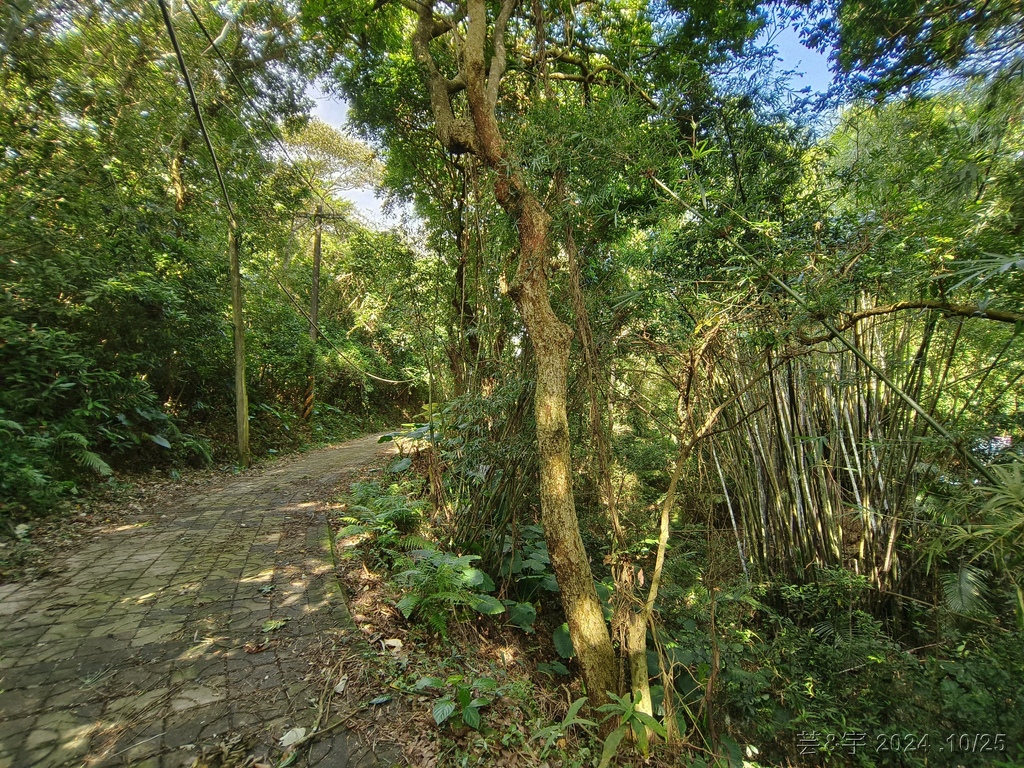 新竹芎林 の 石壁潭生態步道 & 石壁潭山