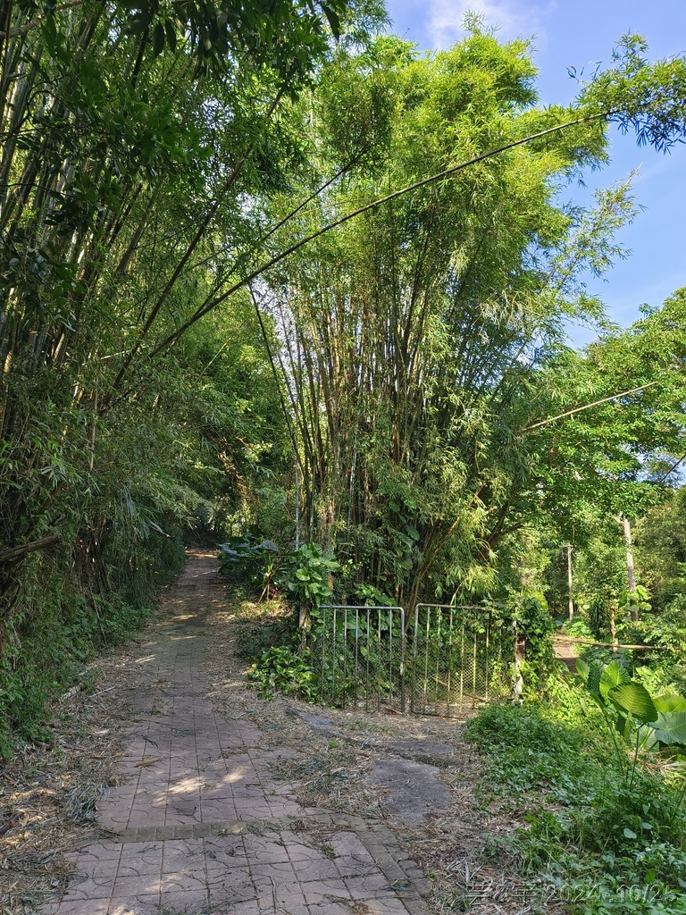 新竹芎林 の 石壁潭生態步道 & 石壁潭山