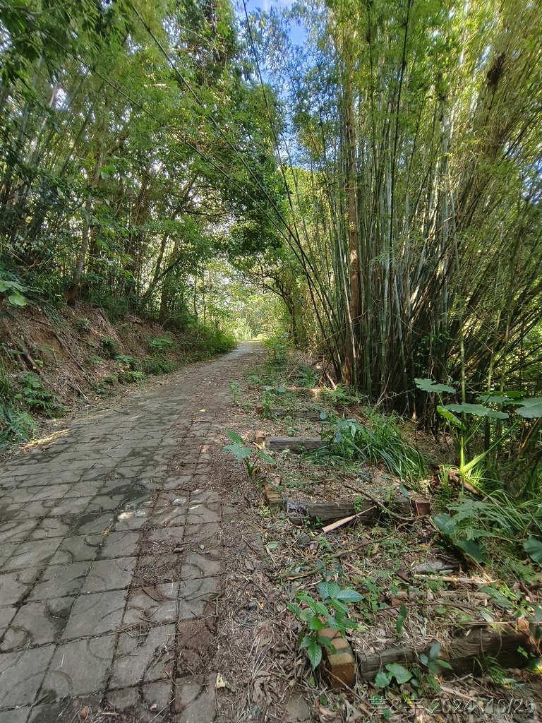 新竹芎林 の 石壁潭生態步道 & 石壁潭山