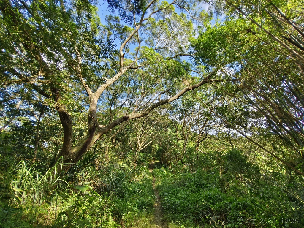 新竹芎林 の 石壁潭生態步道 & 石壁潭山