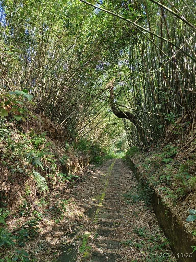 新竹芎林 の 石壁潭生態步道 & 石壁潭山