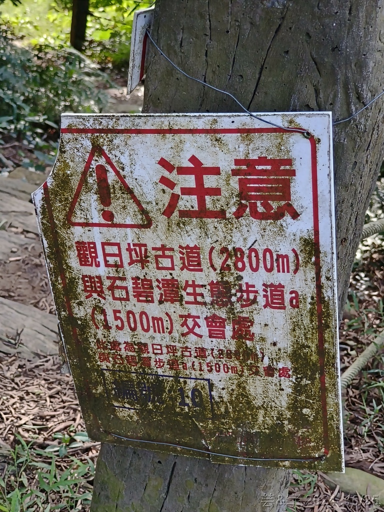 新竹芎林 の 石壁潭生態步道 & 石壁潭山
