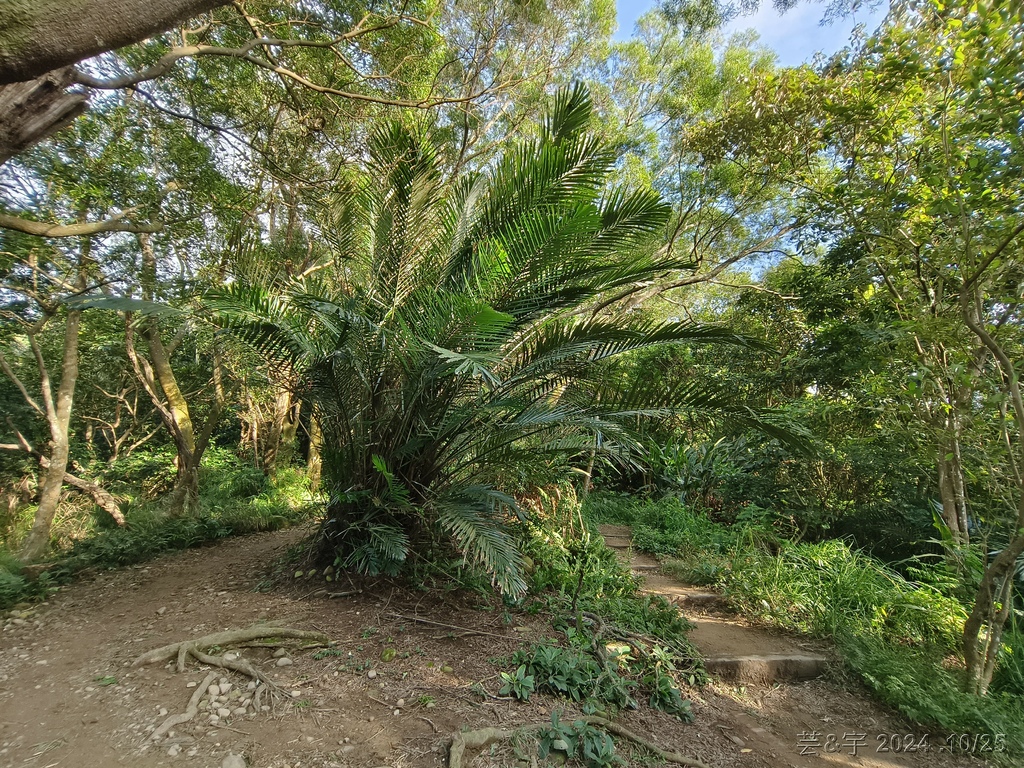 新竹芎林 の 石壁潭生態步道 & 石壁潭山