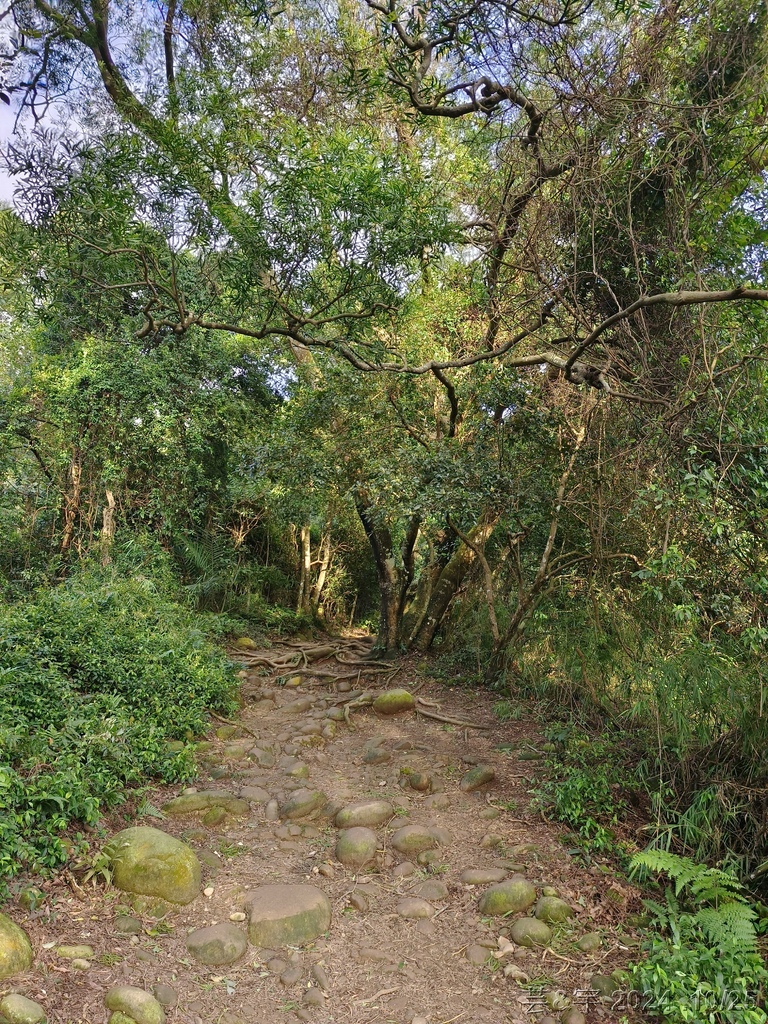 新竹芎林 の 石壁潭生態步道 & 石壁潭山