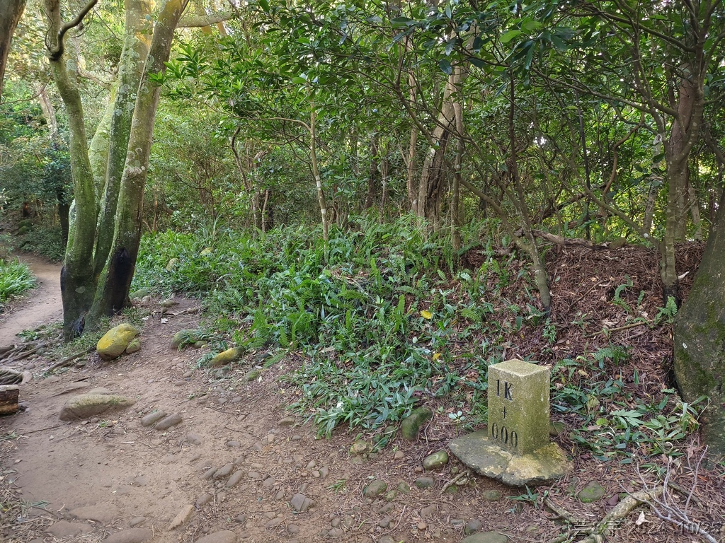 新竹芎林 の 石壁潭生態步道 & 石壁潭山