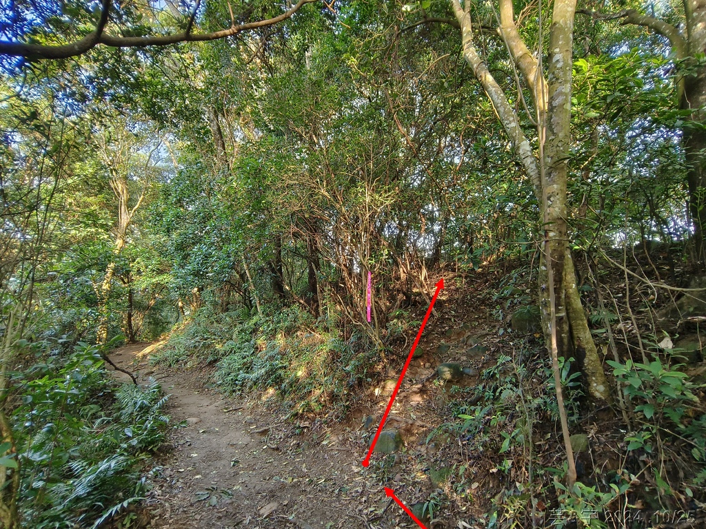 新竹芎林 の 石壁潭生態步道 & 石壁潭山