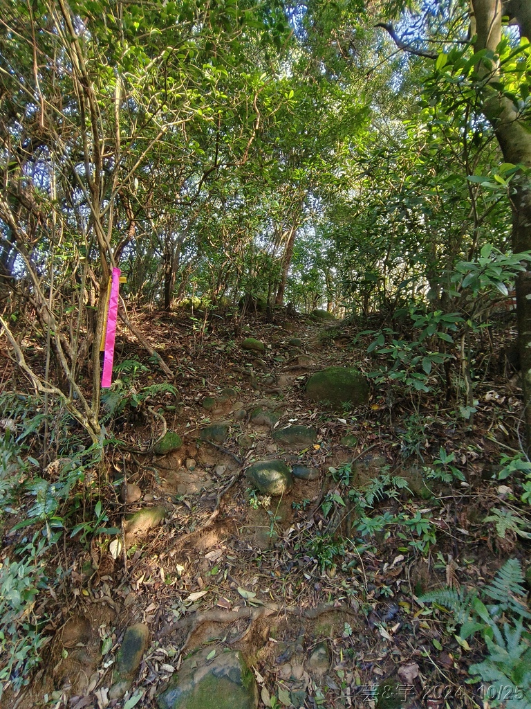 新竹芎林 の 石壁潭生態步道 & 石壁潭山