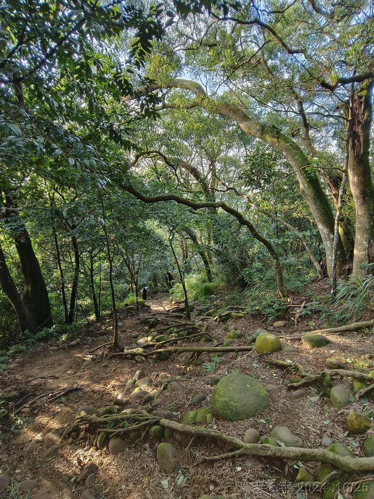 新竹芎林 の 石壁潭生態步道 & 石壁潭山