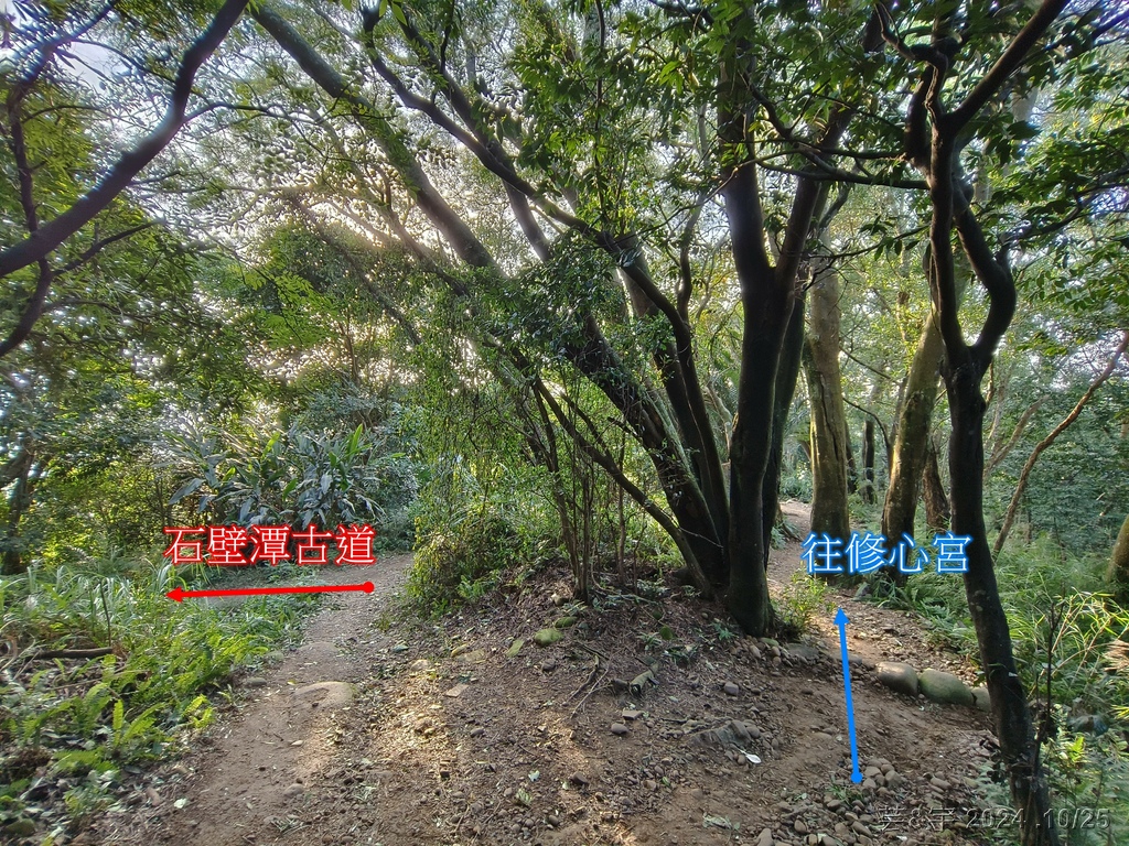 新竹芎林 の 石壁潭生態步道 & 石壁潭山