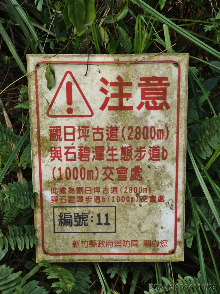 新竹芎林 の 石壁潭生態步道 & 石壁潭山