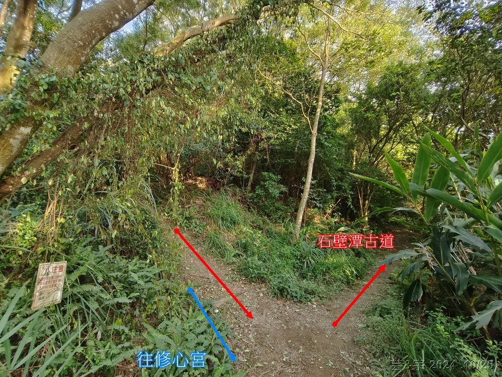 新竹芎林 の 石壁潭生態步道 & 石壁潭山