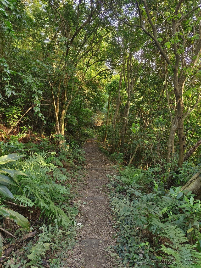 新竹芎林 の 石壁潭生態步道 & 石壁潭山